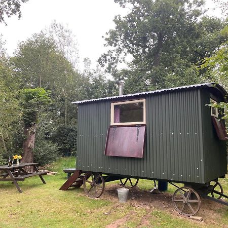 The Shepherd'S Hut - Wild Escapes Wrenbury Off Grid Glamping - Ages 12 And Over Baddiley Luaran gambar
