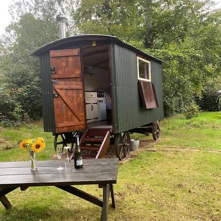 The Shepherd'S Hut - Wild Escapes Wrenbury Off Grid Glamping - Ages 12 And Over Baddiley Luaran gambar