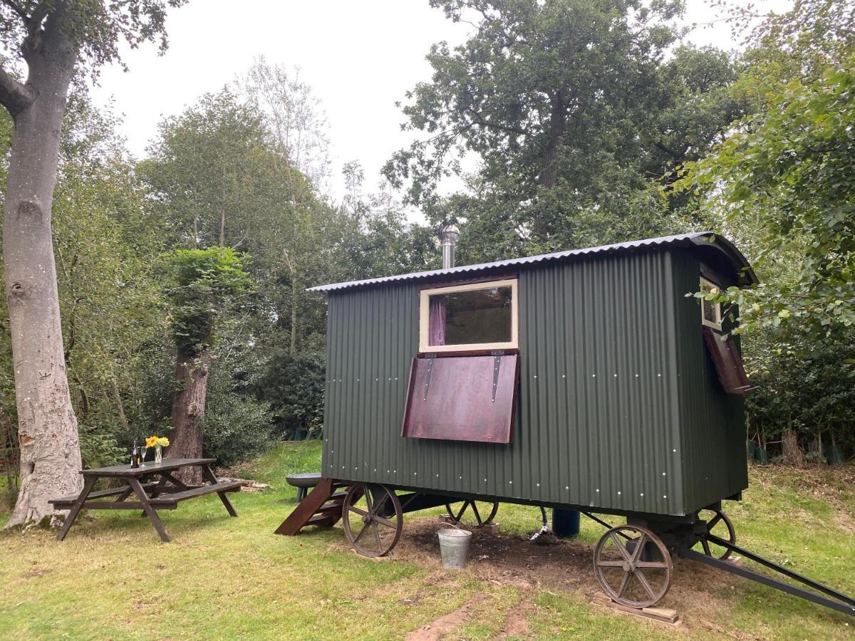 The Shepherd'S Hut - Wild Escapes Wrenbury Off Grid Glamping - Ages 12 And Over Baddiley Luaran gambar