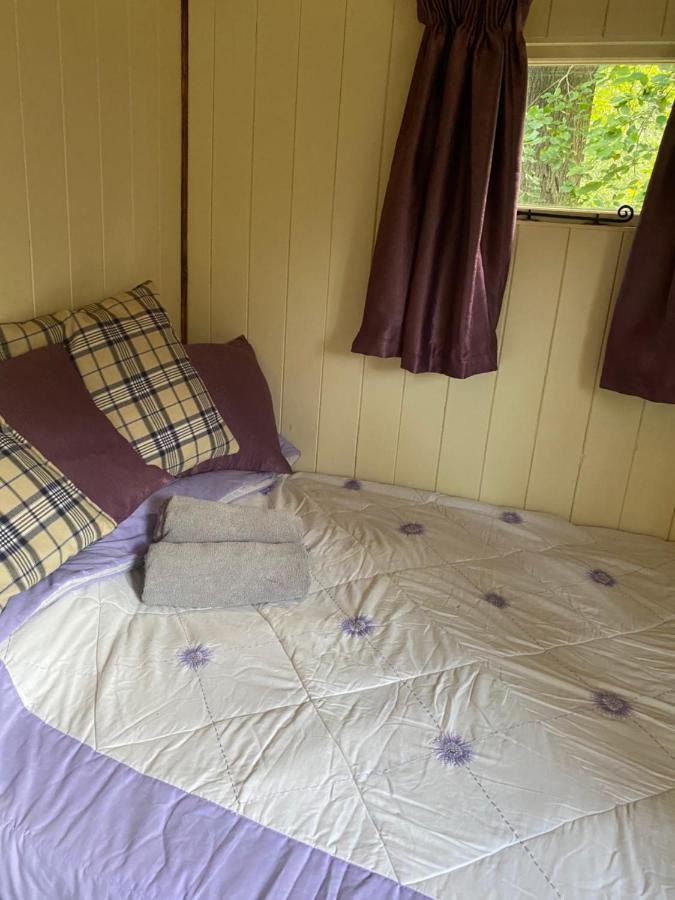The Shepherd'S Hut - Wild Escapes Wrenbury Off Grid Glamping - Ages 12 And Over Baddiley Luaran gambar