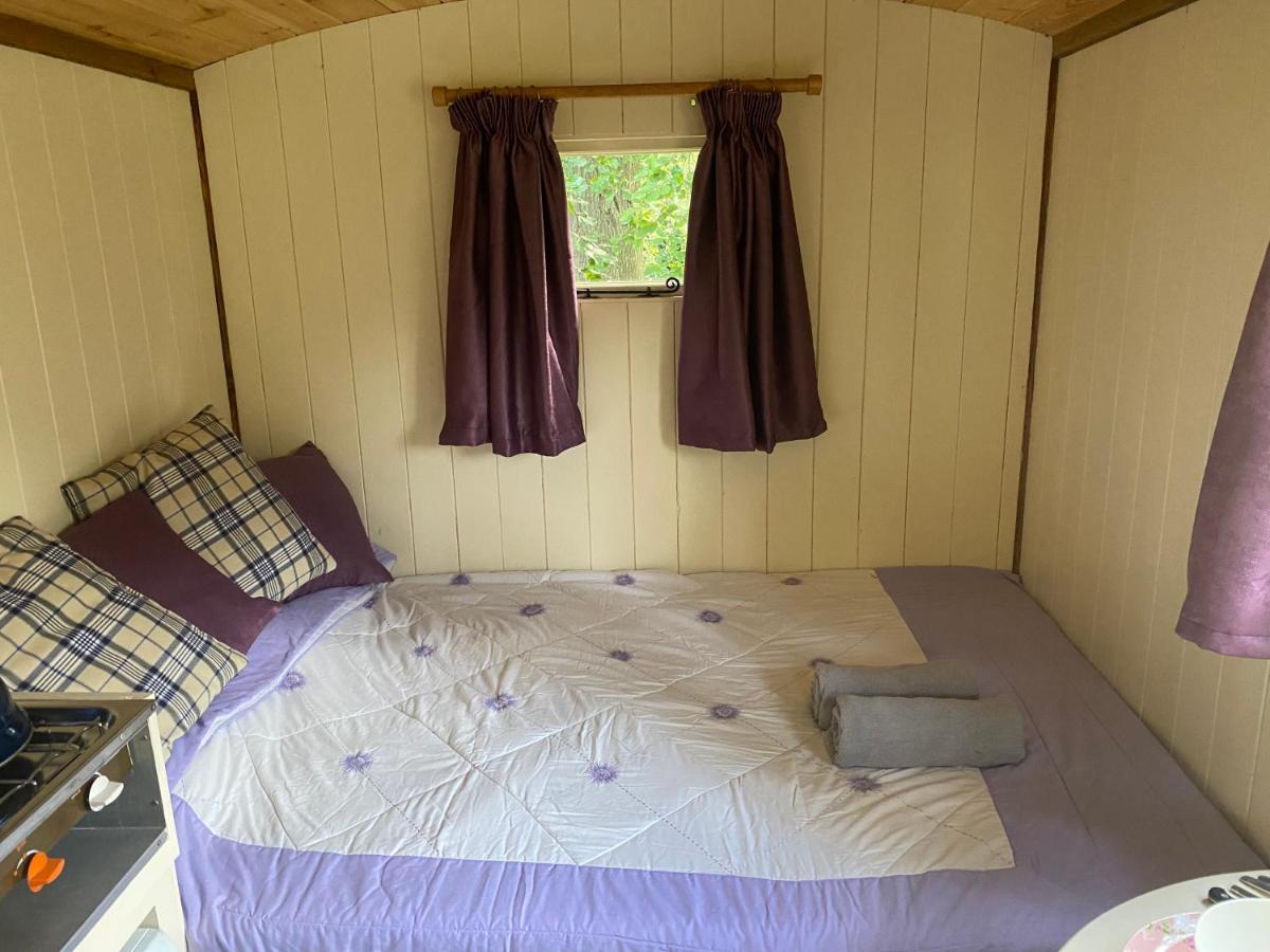 The Shepherd'S Hut - Wild Escapes Wrenbury Off Grid Glamping - Ages 12 And Over Baddiley Luaran gambar