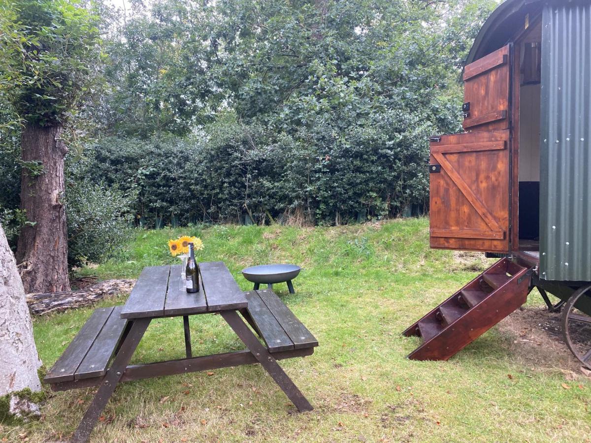 The Shepherd'S Hut - Wild Escapes Wrenbury Off Grid Glamping - Ages 12 And Over Baddiley Luaran gambar